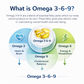 MAV-369 Omega 3-6-9 Softgel Capsules (550 mg)